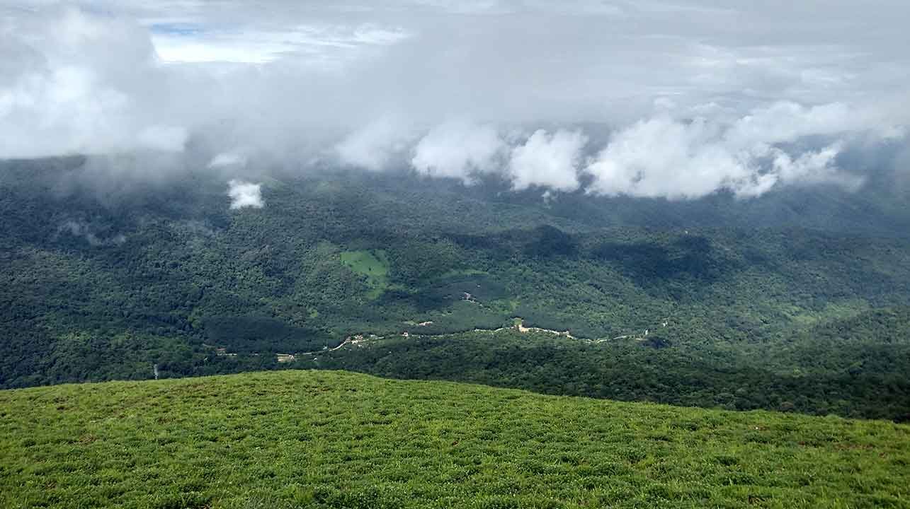 Coorg Landscape