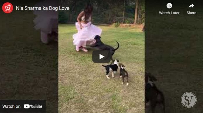 Nia Sharma playing with her dogs