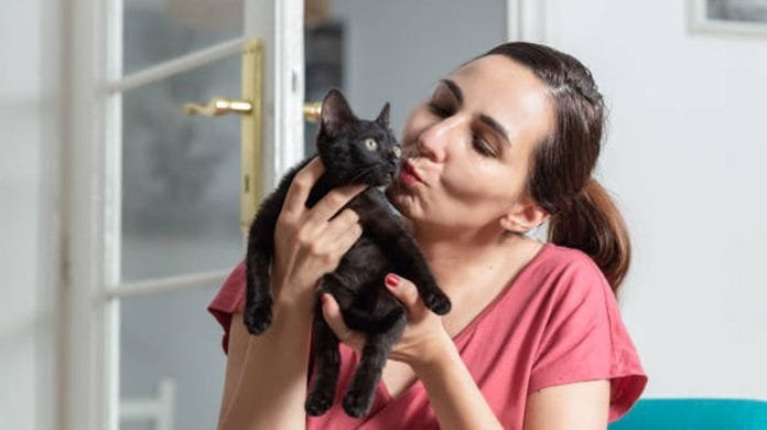 woman-cat relationship woman-cat relationship