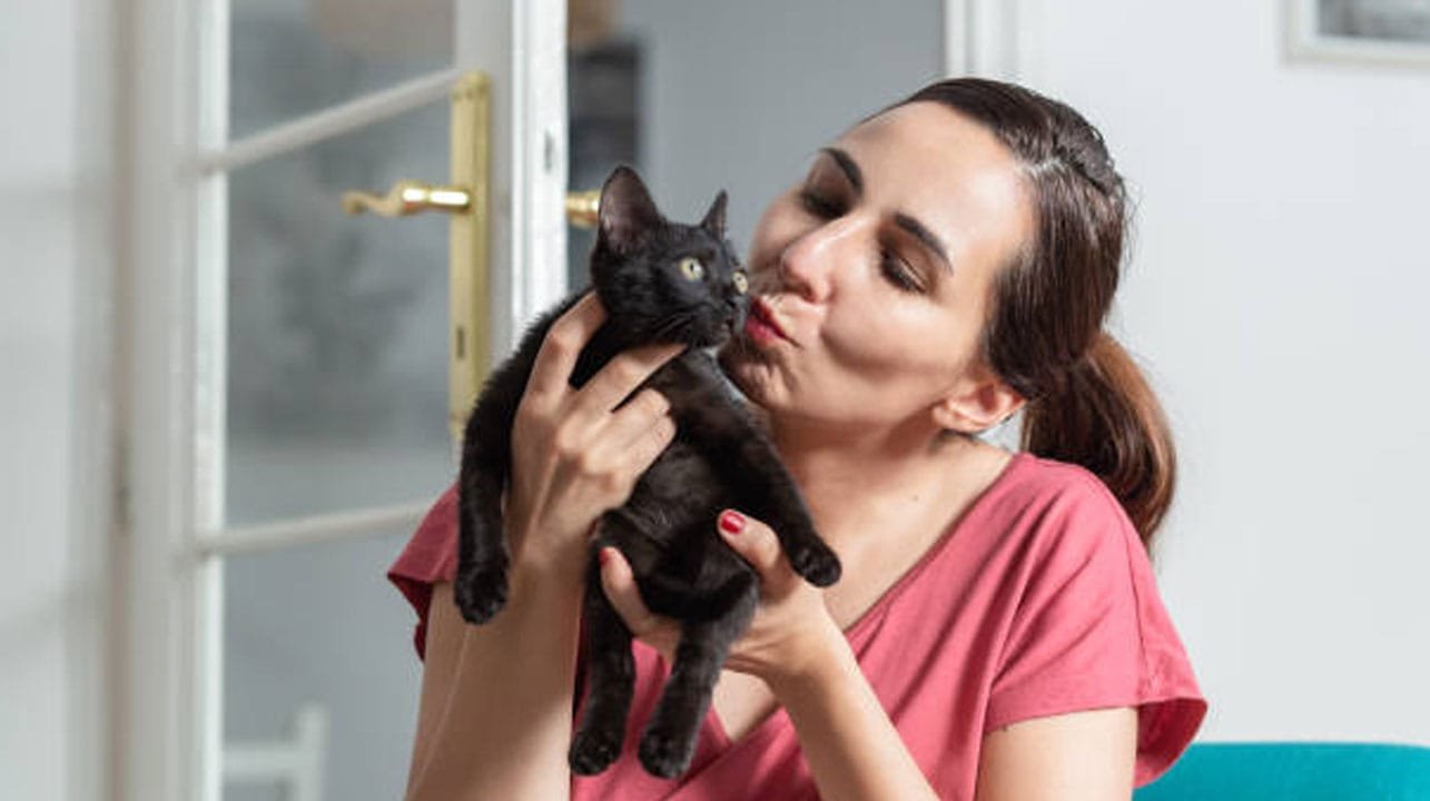 woman-cat relationship