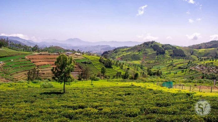 There Is A Wellington In India Too