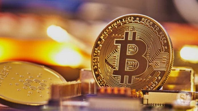 Crypto Investment Ninja in 2022