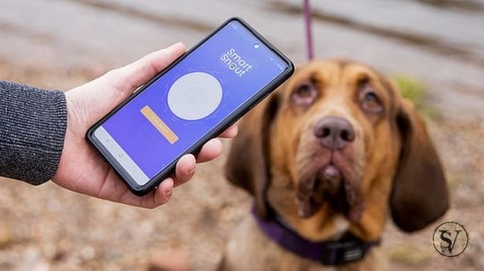 An app to find a missing dog