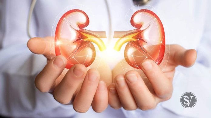 Kidney Diseases Early signs and symptoms