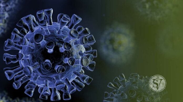 Covid Symptoms reoccur Covid Symptoms reoccur