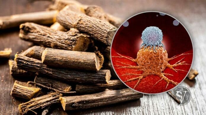 Licorice for Cancer