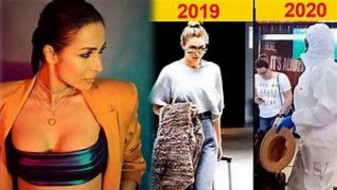 Malaika shares airport meme