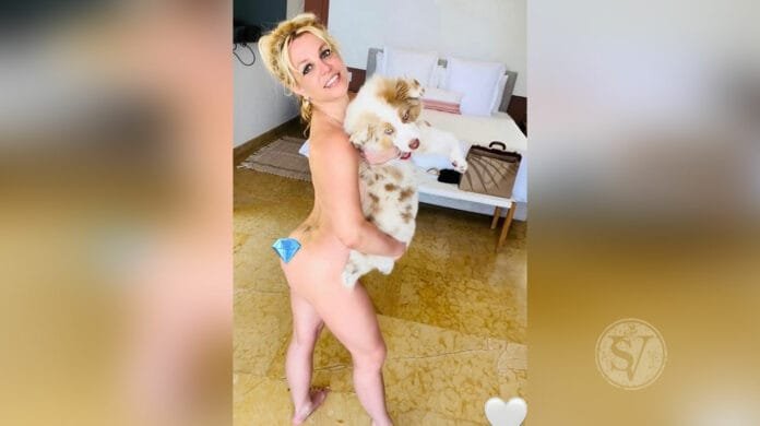 Britney Spears poses nude