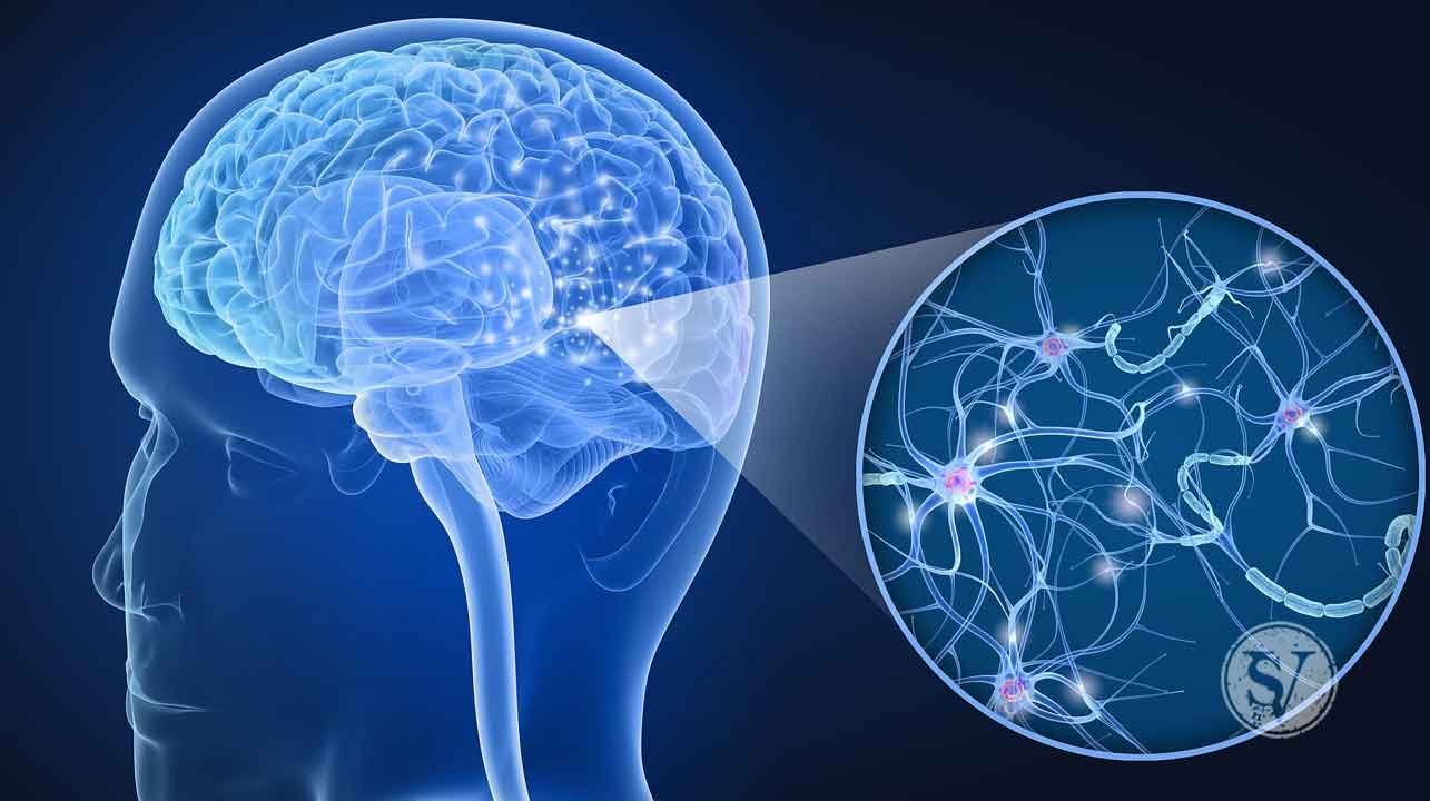 Parkinson Disease