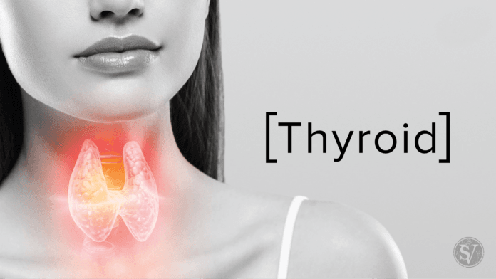 Maintain your Thyroid