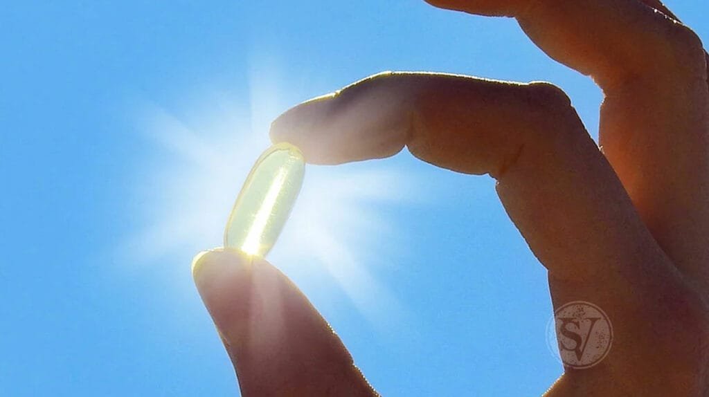 Supplement