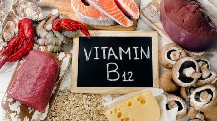 Vitamin B12 RICH FOODS