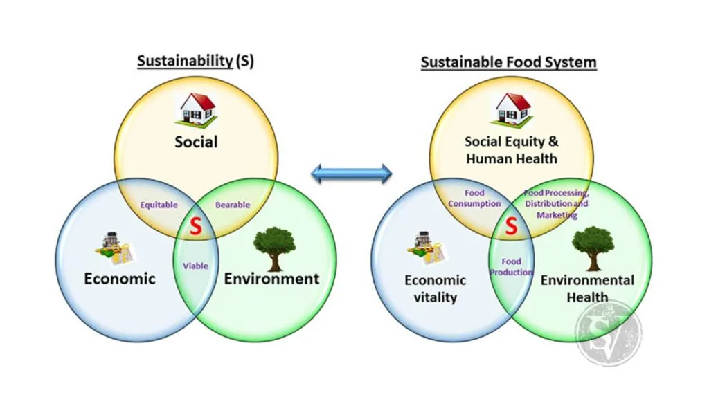 Sustainable Food Ecosystem