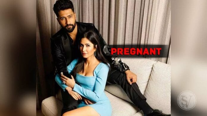 katrina kaif is pregnant