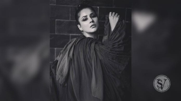 Shehnaaz slays in Chic