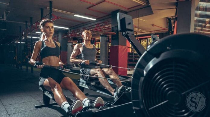 Women are Better Than Men in the Gym