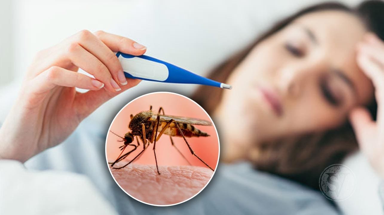 malaria