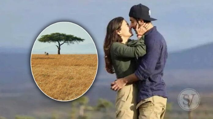 Ranbir and Alia in Masaimara
