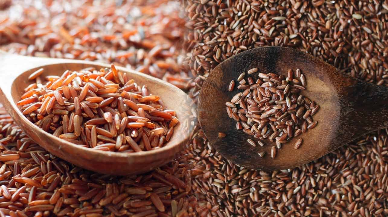 Rice
