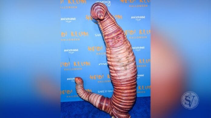 Heidi Klum Halloween Costume