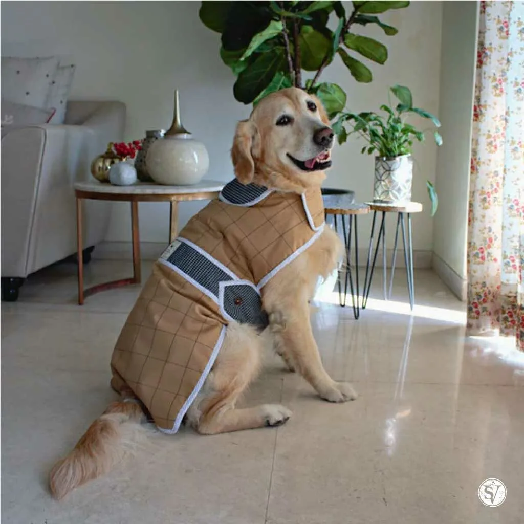 Winter Coat for Dogs
