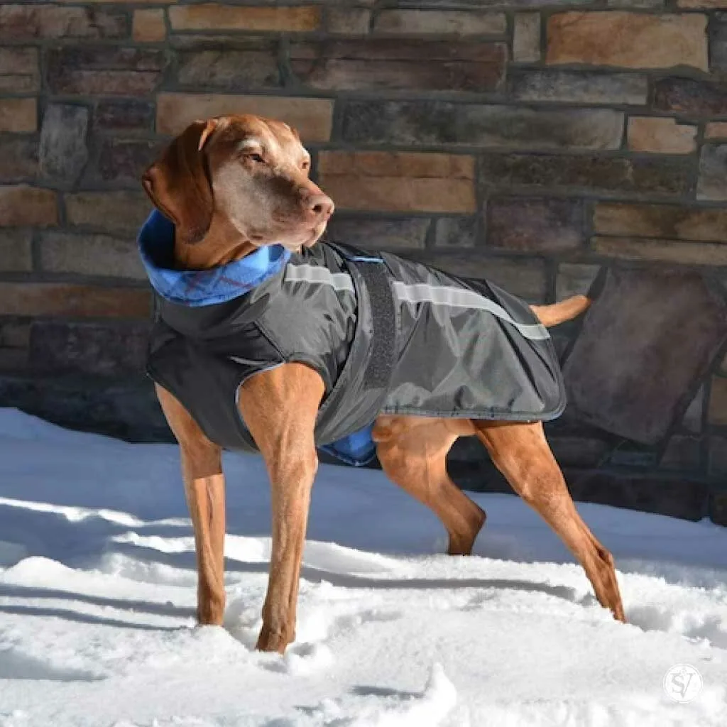 Winter Coat for Dogs